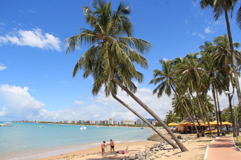 Praia tropical, coqueiros, casal