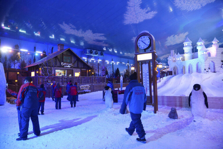 Parque neve castelo pinguins