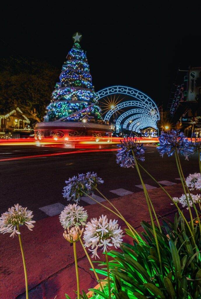 Árvore Natal iluminada noite
