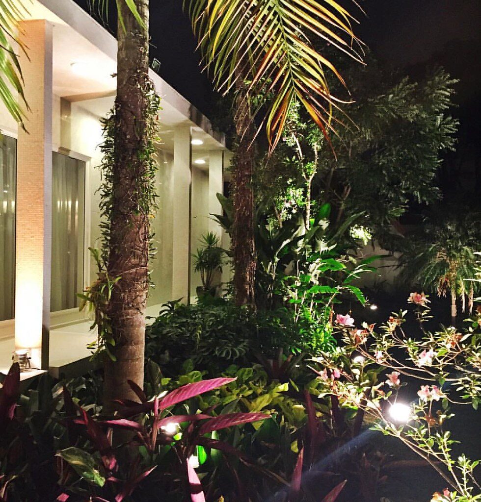 Jardim noturno iluminado tropical