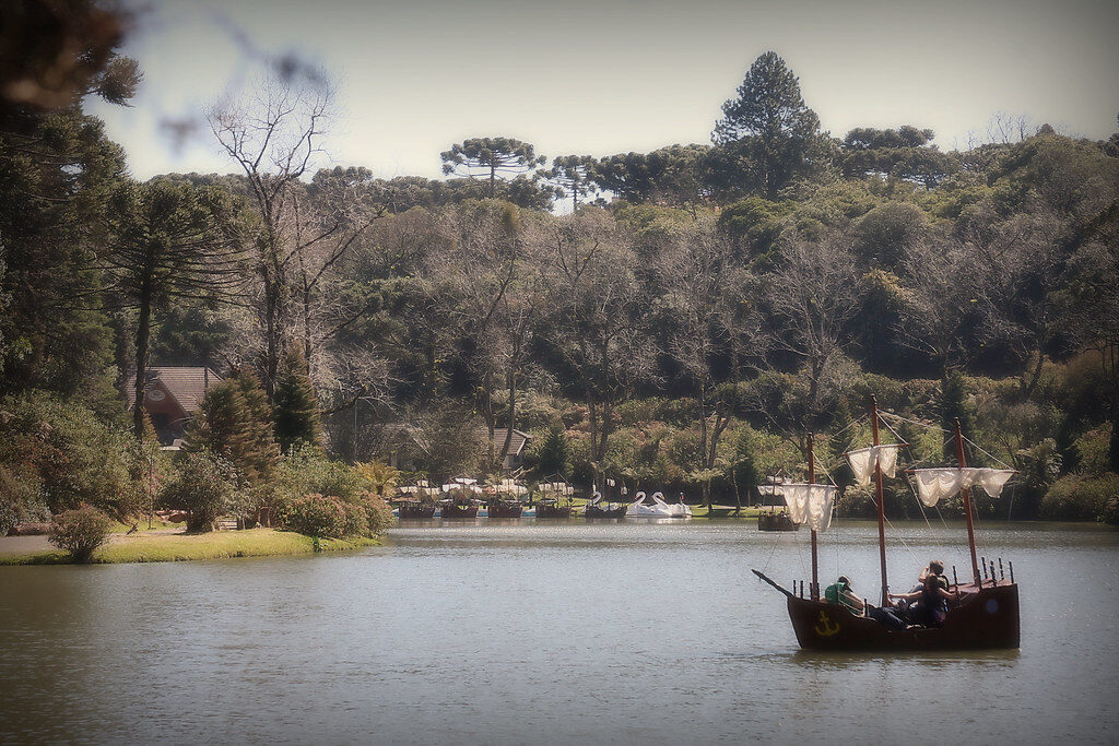 Barco no lago floresta
