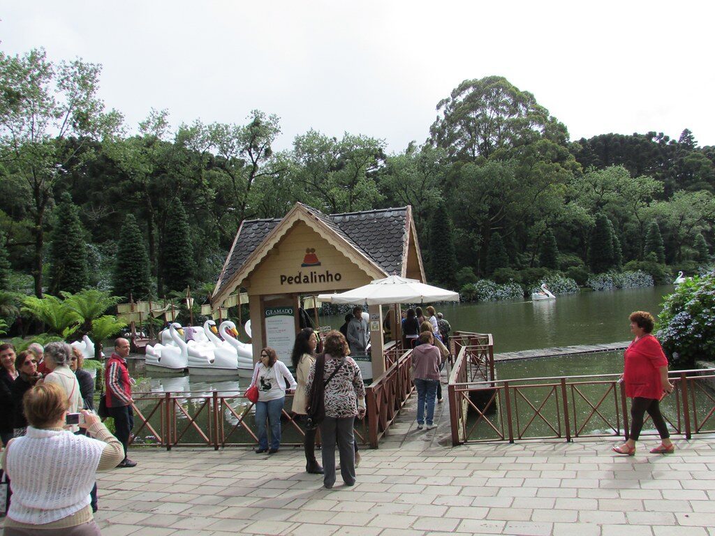 Pedalinhos de cisne no lago