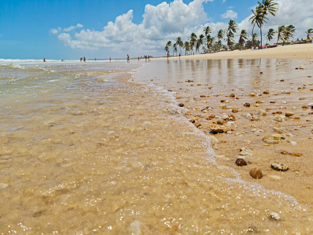 Praia tropical com mar azul