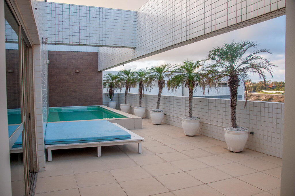 Piscina, terraço, espreguiçadeira, palmeiras