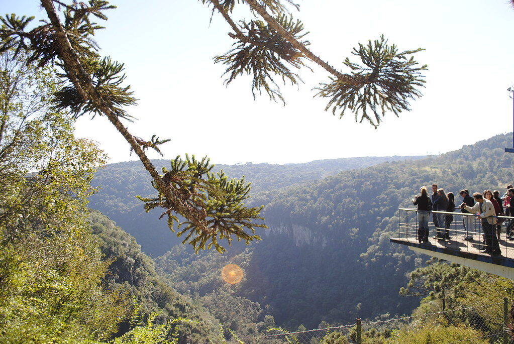 Mirante com araucárias e vale